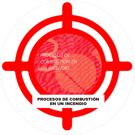 Procesos de Combustión y Principios de la Extinción (Temario Principios Lucha Contra Incendios)